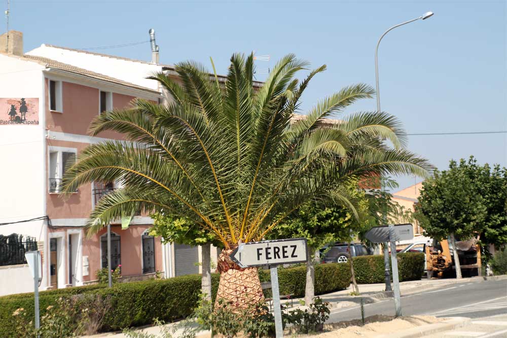 Férez